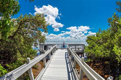 Longboat Key Fishing: The Complete Guide (Updated 2023)