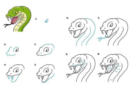 How to draw A Snake Head step by step - Drawing Photos