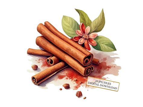 Cinnamon Sticks Clipart Bundle 10 High Quality (Instant Download ...