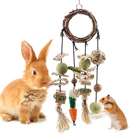 Find The Best Rabbit Chew Toys - Spicer Castle