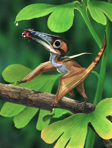 Nemicolopterus is a tiny extinct pterosaur about the size of a swallow with a wingspan of just ...