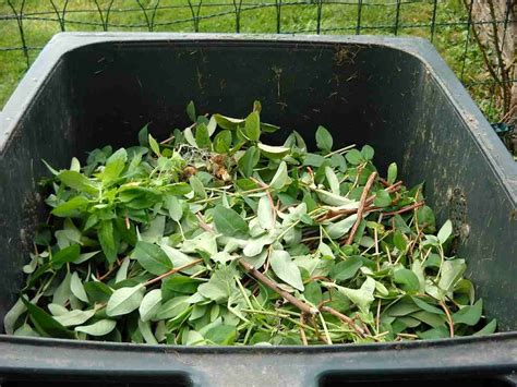 How To Make A Compost Pit, Benefits, Composting Process | Agri Farming