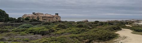 Asilomar State Beach and Coast Trail: 627 Reviews, Map - California | AllTrails