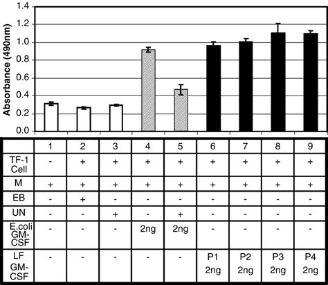 Biological activity of recombinant GM-CSF protein expressed in N ...