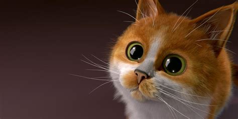 Blender Cat splashscreen entry by obi1knobi on DeviantArt