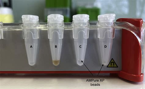 Exemplary pictures of PCR purification steps with AMPure XP beads (A-C ...