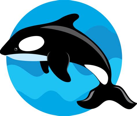 Cute Whale Vector #AD , #Ad, #AD, #Vector, #Whale, #Cute | Orca art ...