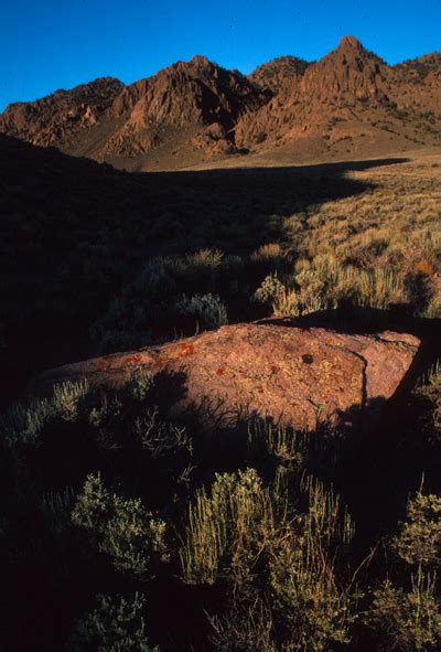 Quinn Canyon Wilderness - Friends of Nevada Wilderness