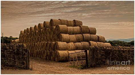 Round Hay Bales Digital Art by Chris Evans | Fine Art America