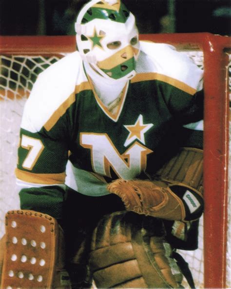 GILLES MELOCHE VINTAGE GOALIE MASK MINNESOTA NORTH STARS NHL HOCKEY ...