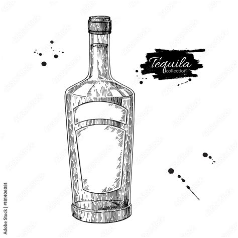 Tequila bottle drawing. Vodka, cocktail, alcohol drink vector il Stock Vector | Adobe Stock