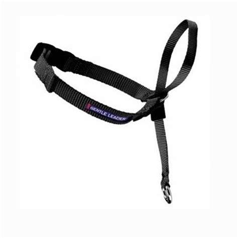 The Gentle Leader Dog Leash: Is It Right For My Dog? – Jim Hodges Dog Training