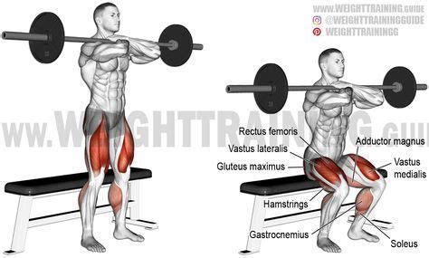 √ Barbell Hack Squat Form