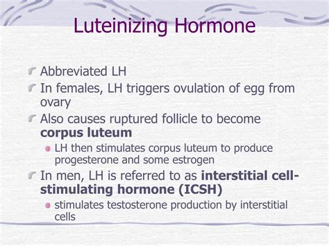 PPT - Chapter 9 The Endocrine System PowerPoint Presentation, free download - ID:6588634