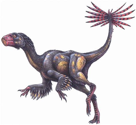 Caudipteryx Pictures & Facts - The Dinosaur Database