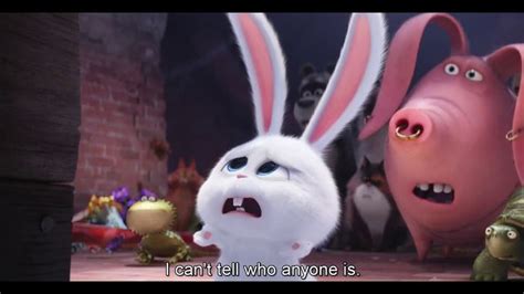 Pin on Secret Life of Pets