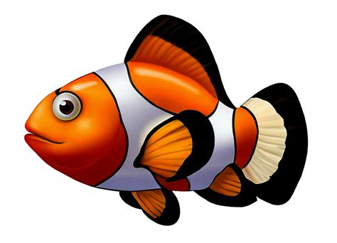 ปลาการ์ตูน Nemo ปลา - ภาพฟรีบน Pixabay