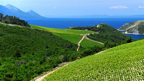 Croatia - Wine Regions | Wine-Searcher