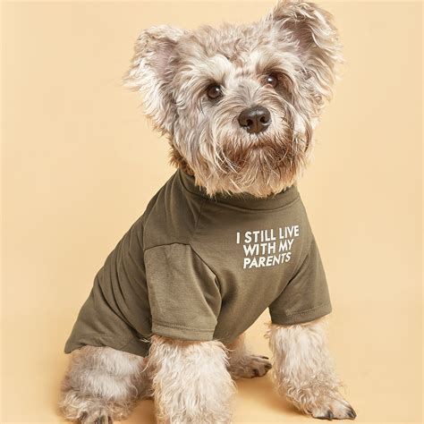 Pet Clothes For Small Medium Dog Brown Words Pattern Pet Tee Pet Apparel | Check Out Today's ...