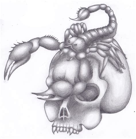 Scorpion Skull by NovaxCaine on DeviantArt