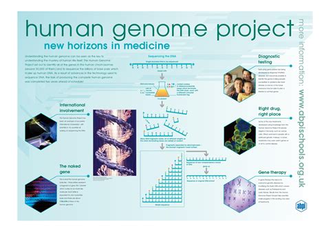 Human Genome Project | Note