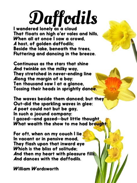 How we're celebrating World Poetry Day -- Daffodils, William Wordsworth | Daffodils poem ...
