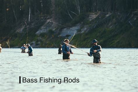 13 Best Bass Fishing Rods [Top Picks In 2023]