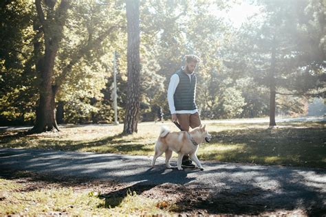 Black man walking with dog in autumn park · Free Stock Photo