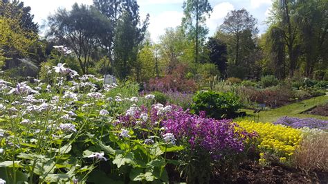 Exploring the Chelsea Physic Garden - Catherine's Cultural Wednesdays