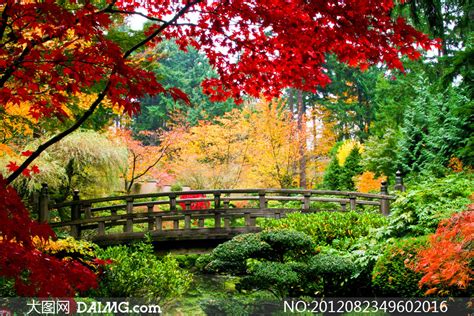 姹紫嫣红的秋天风景摄影高清图片_大图网图片素材