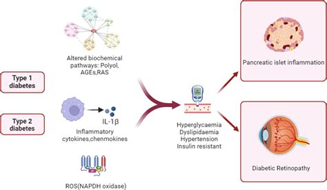 Graphene Quantum Dots Rescue Angiogenic Retinopathy Via, 60% OFF