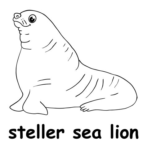 steller sea lion predators Jubatus lion sea eumetopias steller male ad ...