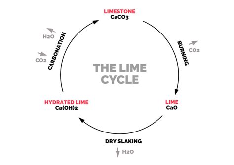 LIME: Everything you need to know to get started – Critical Concrete