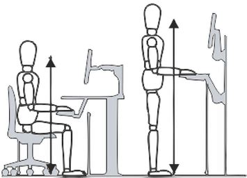 Ergonomic & Anthropometric - Ergonomics and Anthropometrics