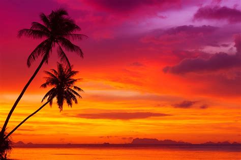 Tropical Sunset Wallpaper Free - WallpaperSafari