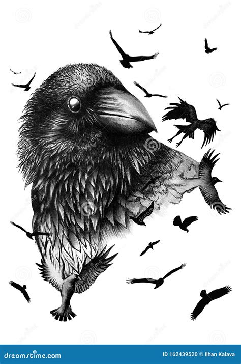 Charcoal Crow Drawing.Flying Birds. Hand Drawn Raven. - Illustration ...