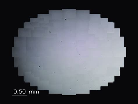 Magnified image without gamma correction. | Download Scientific Diagram