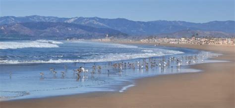 Spring Break in Oxnard – Beaches without Crowds - Visit Oxnard