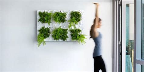 Indoor Living Wall Planter = Easy Vertical Gardening