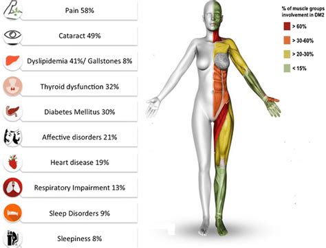 What Myotonic Dystrophy Type II Strategy to the problem - NewsCreds