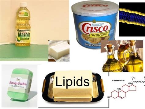 The importance , classification & molecular structure of lipids ...