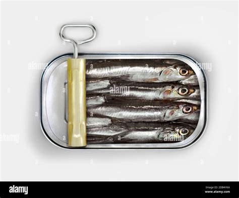 Sardines in an opened can ready for eating Stock Photo - Alamy