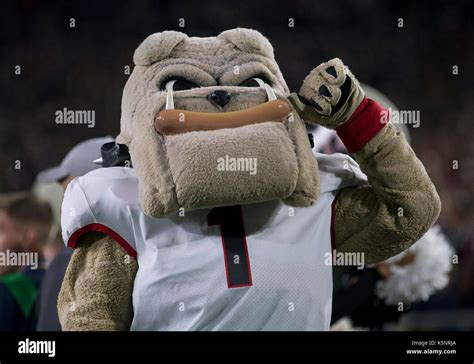 South Bend, Indiana, USA. 09th Sep, 2017. Georgia mascot performs during NCAA football game ...