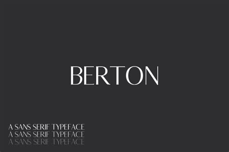 Berton Sans Serif Font Family Pack by creativetacos on Envato Elements ...