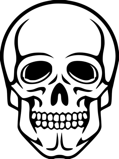 Free Skeleton Face Png, Download Free Skeleton Face Png png images, Free ClipArts on Clipart Library