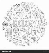 Resultado De Imagem Para Biology coloring Page  Biologie Kunst sketch template