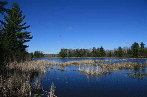 New wildlife conservation area to be named - Star Journal