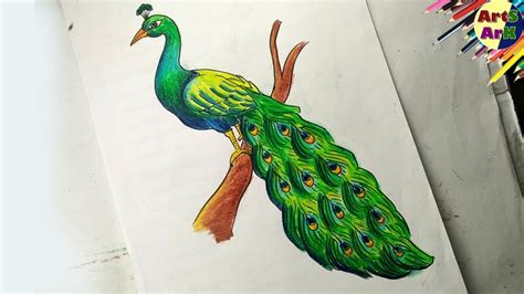 Peacock Drawing with oil pastel | Easy but Amazing | ময়ূর আঁকার সবচেয়ে সহজ পদ্ধতি - YouTube