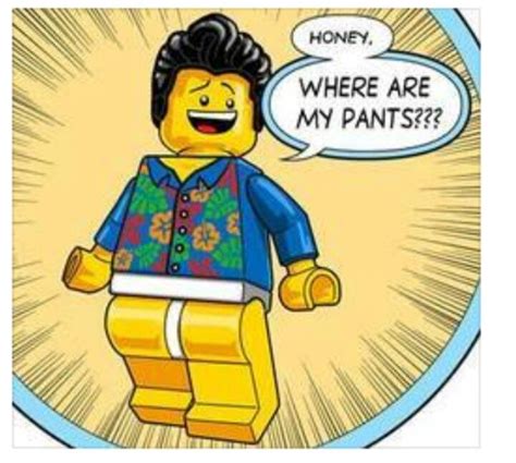 Where Are My Pants Lego