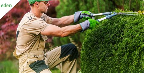 What is the Cost of Bush Trimming? | Eden Lawn Care and Snow Removal